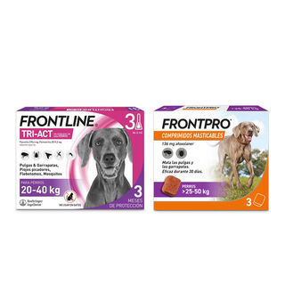 Pack Frontline Tri-Act pipetas + Frontpro comprimidos masticables para perros grandes